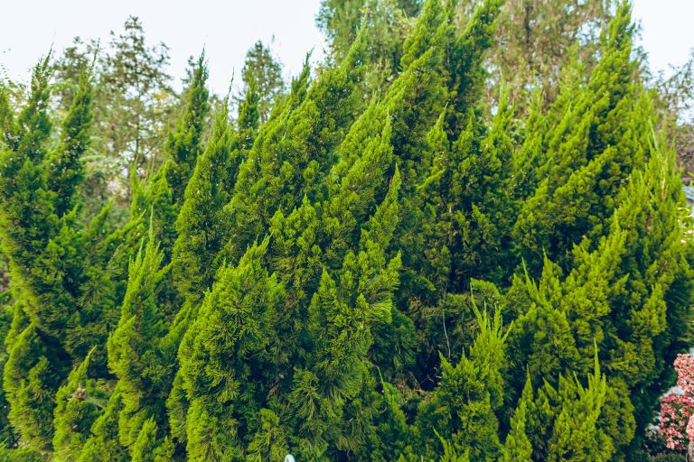 唐山凤凰山打卡拍照